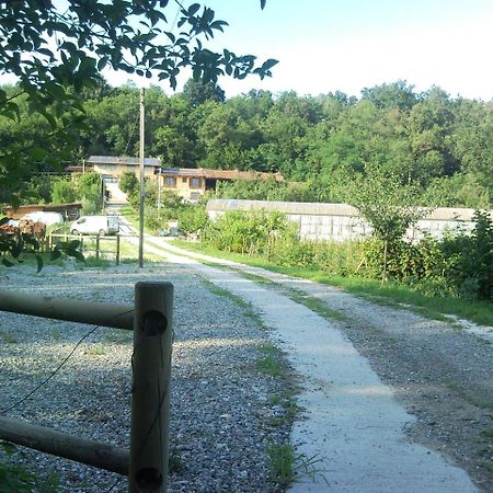 La Bedina Villa Rivara Luaran gambar